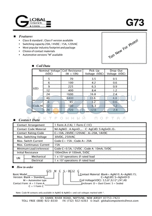 G73AS-DC6C datasheet - G73