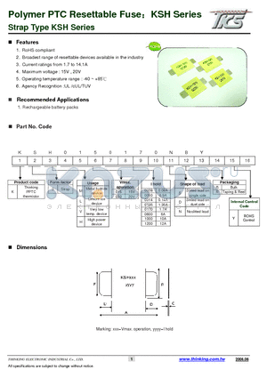 KSH0200600 datasheet - Strap Type KSH Series