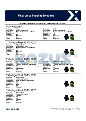 FCM-2F100S-FLX01-01 datasheet - Flextronics Imaging Solutions