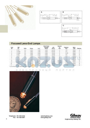 L1006 datasheet - Focused Lens-End Lamps