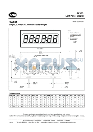 FE0601 datasheet - LCD Panel Display