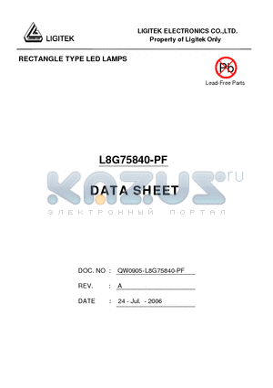 L8G75840-PF datasheet - RECTANGLE TYPE LED LAMPS