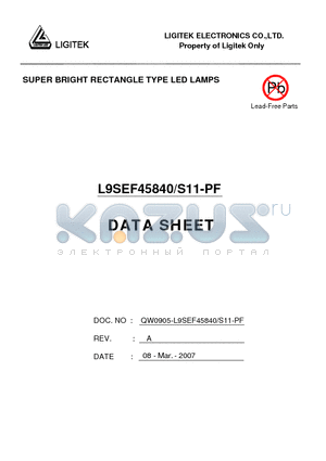 L9SEF45840 datasheet - SUPER BRIGHT RECTANGLE TYPE LED LAMPS