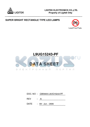 L9UG15243-PF datasheet - SUPER BRIGHT RECTANGLE TYPE LED LAMPS