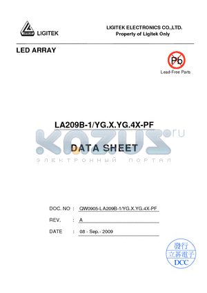 LA209B-1-YG.X.YG.4X-PF datasheet - LED ARRAY