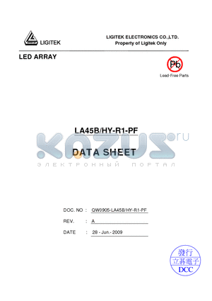 LA45B-HY-R1-PF datasheet - LED ARRAY
