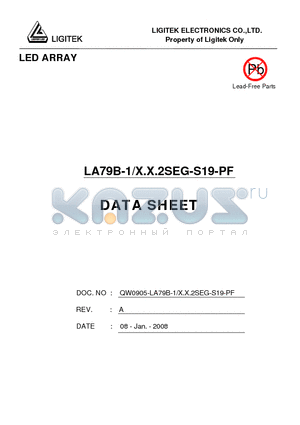 LA79B-1-X.X.2SEG-S19-PF datasheet - LED ARRAY