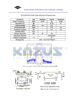 LBT6503 datasheet - SAW Filter Electrical Characteristic