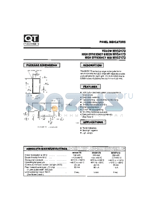 MV53173 datasheet - PANEL INDICATORS