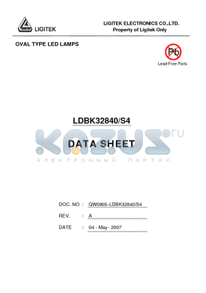 LDBK32840-S4 datasheet - OVAL TYPE LED LAMPS
