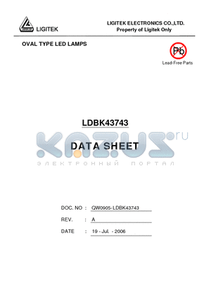 LDBK43743 datasheet - OVAL TYPE LED LAMPS