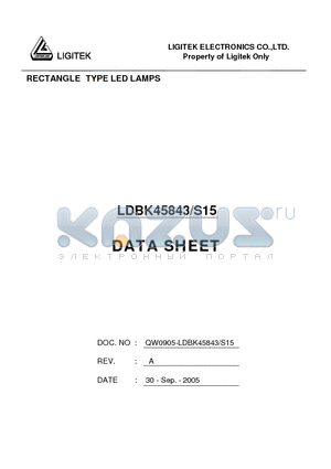 LDBK45843-S15 datasheet - RECTANGLE TYPE LED LAMPS