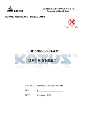 LDBK9653-30B-AM datasheet - SQUARE WITH 4LEADS TYPE LED LAMPS