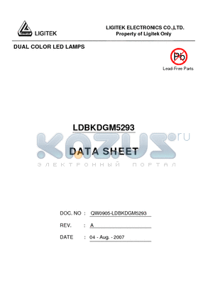 LDBKDGM5293 datasheet - DUAL COLOR LED LAMPS