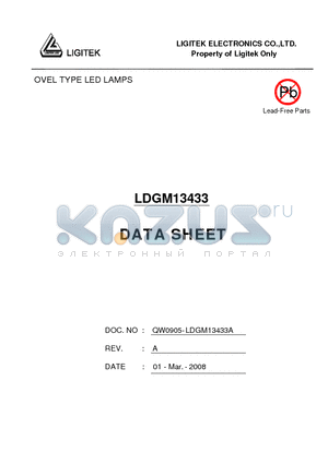 LDGM13433 datasheet - OVEL TYPE LED LAMPS