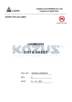 LDGM63233 datasheet - ROUND TYPE LED LAMPS