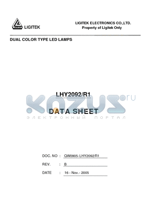 LHY2092-R1 datasheet - DUAL COLOR TYPE LED LAMPS