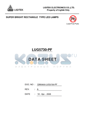 LUG5730-PF datasheet - SUPER BRIGHT RECTANGLE TYPE LED LAMPS