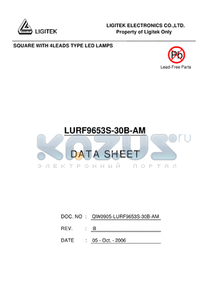 LURF9653S-30B-AM datasheet - SQUARE WITH 4LEADS TYPE LED LAMPS