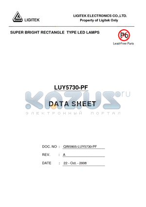 LUY5730-PF datasheet - SUPER BRIGHT RECTANGLE TYPE LED LAMPS