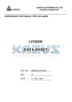 LVY25030 datasheet - SUPER BRIGHT RECTANGLE TYPE LED LAMPS