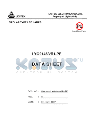 LYG21463/R1-PF datasheet - BIPOLAR TYPE LED LAMPS