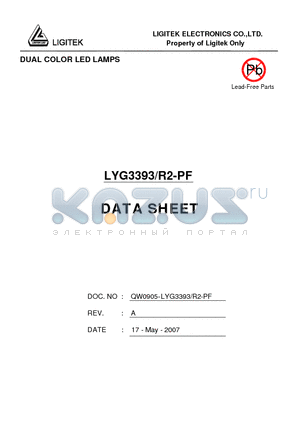 LYG3393-R2-PF datasheet - DUAL COLOR LED LAMPS