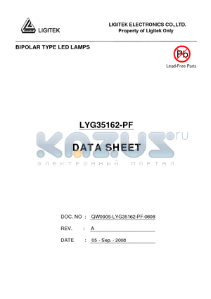 LYG35162-PF datasheet - BIPOLAR TYPE LED LAMPS