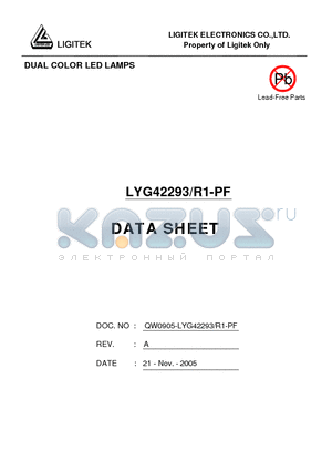 LYG42293-R1-PF datasheet - DUAL COLOR LED LAMPS