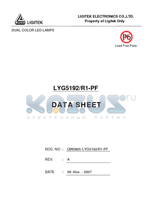 LYG5192-R1-PF datasheet - DUAL COLOR LED LAMPS