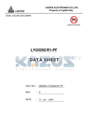 LYG5292/R1-PF datasheet - DUAL COLOR LED LAMPS