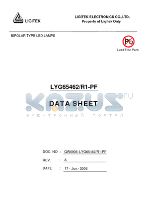 LYG65462-R1-PF datasheet - BIPOLAR TYPE LED LAMPS