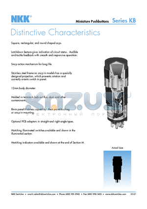 KB25SKG01B datasheet - Miniature Pushbuttons