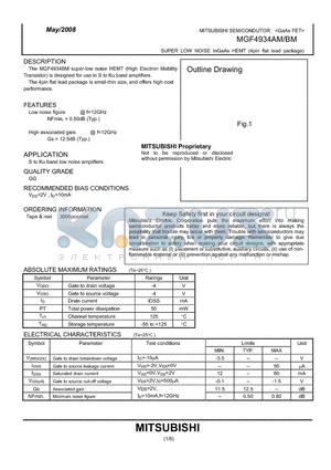 MGF4934AM_08 datasheet - SUPER LOW NOISE InGaAs HEMT (4pin flat lead package)