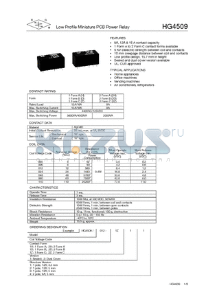 HG4509/012-1Z14 datasheet - LOW PROFILE MINIATURE PCB POWER RELAY