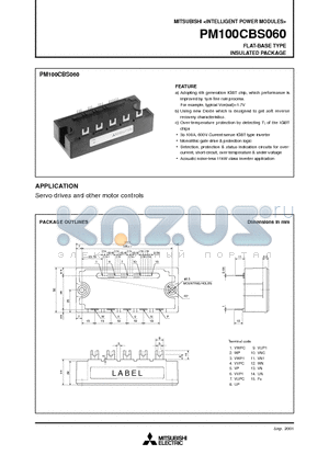 PM100CBS060 datasheet - FLAT-BASE TYPE INSULATED PACKAGE
