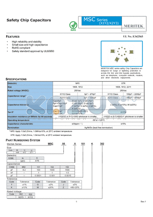 MSC08N101F502 datasheet - Safety Chip Capacitors