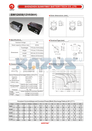 SW12650 datasheet - General Battery