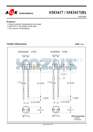 SM3417 datasheet - LED Lamp