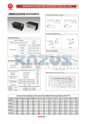 SWG122300 datasheet - GEL Battery