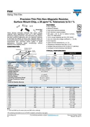 PNM1206E1002BBT1 datasheet - Precision Thin Film Non-Magnetic Resistor