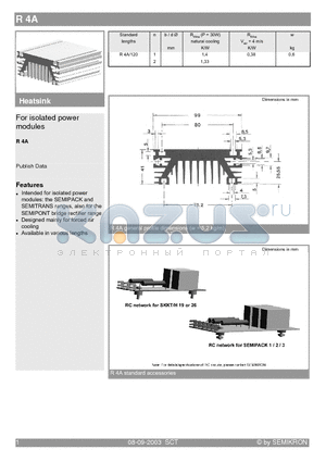 R4A/120 datasheet - For isolated power modules