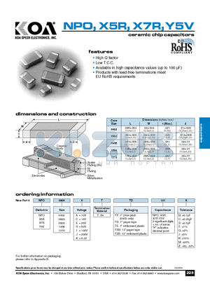 NPQ0402ATTDB101C datasheet - ceramic chip capacitors