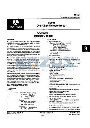 R6501AQE datasheet - ONE CHIP MICROPROCESSOR