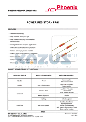 PR01 datasheet - POWER RESISTOR