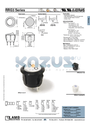 PRG31131101 datasheet - RRG3 Series