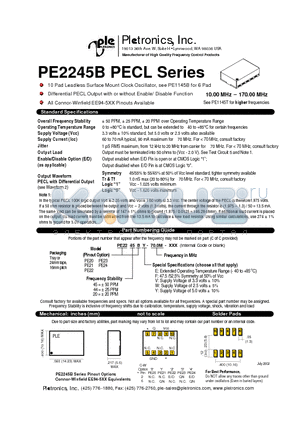 PE2020BV-70.0M-XXX datasheet - 10 Pad Leadless Surface Mount  Clock Oscillator,see PE1145B for 6Pad
