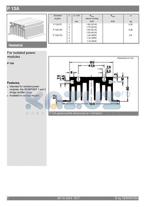 P13A datasheet - For isolated power modules