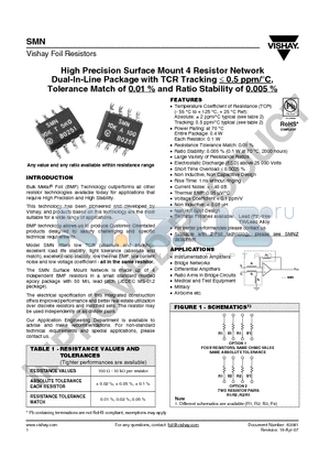 SMN datasheet - High Precision Surface Mount 4 Resistor Network