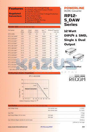 RP12-4805SAW datasheet - 12 Watt DIP24 & SMD, Single & Dual Output